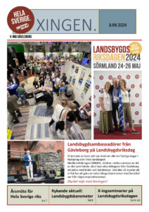 XINGEN nr 2 Tema LBRD